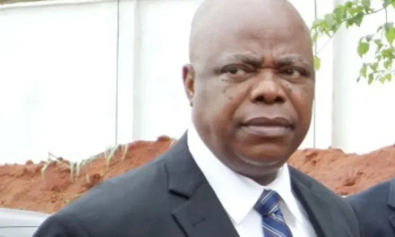APGA's Ex-Presidential Candidate Peter Umeadi Quits Politics, Resigns from Party