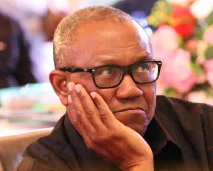 Lagos APC Slams Peter Obi Over 'Yahoo Boys Are Geniuses' Remark as Reckless
