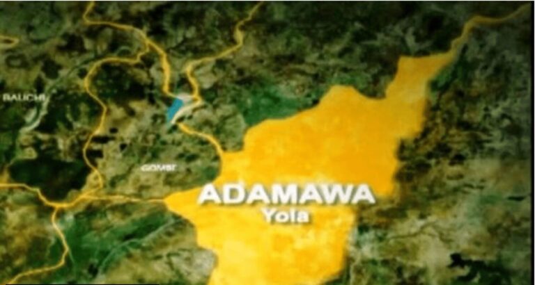 Adamawa State Orders Deboarding of Schools Amid Security Threats