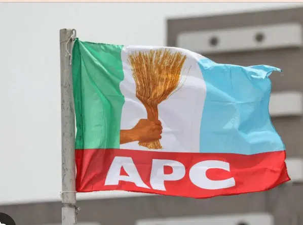 APC Youth League Denounces Illegitimate Kebbi Coalition, Reaffirms Support for Minister Bagudu