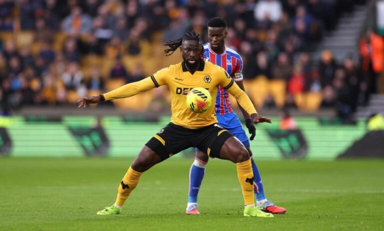 Rob Edwards Commends Tolu Arokodare's Work Rate Despite Wolves' Crystal Palace Defeat