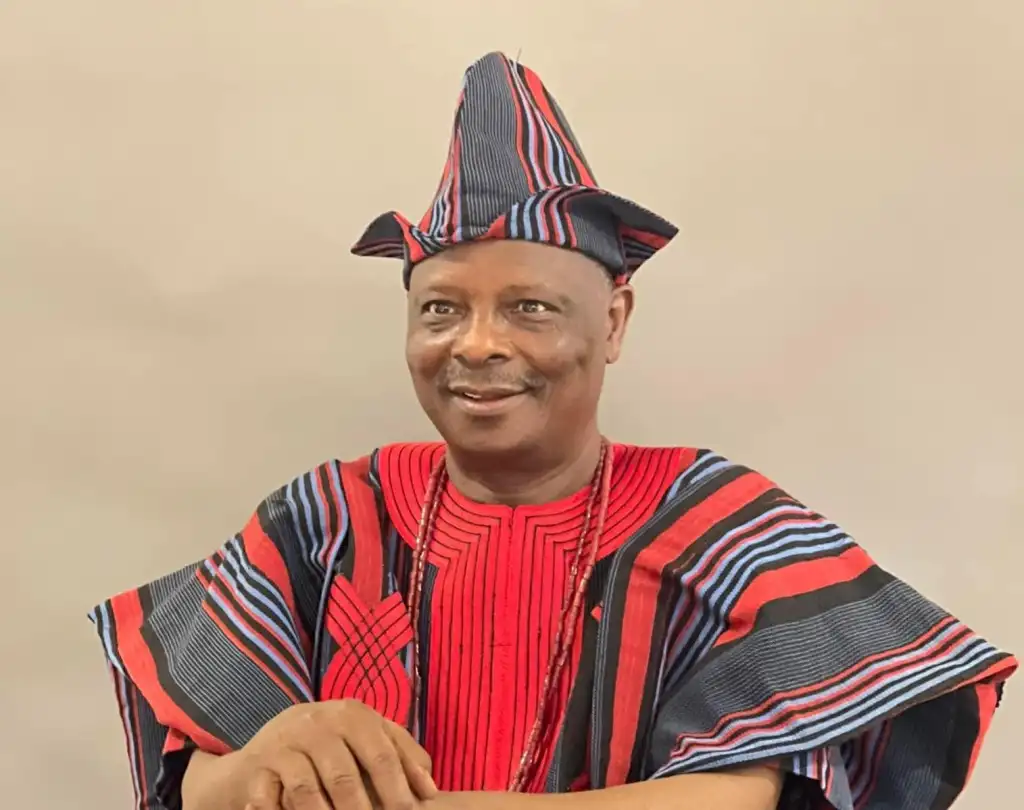 NNPP Chairman Claims APC Weak, Needs Kwankwaso for 2027 Election Victory