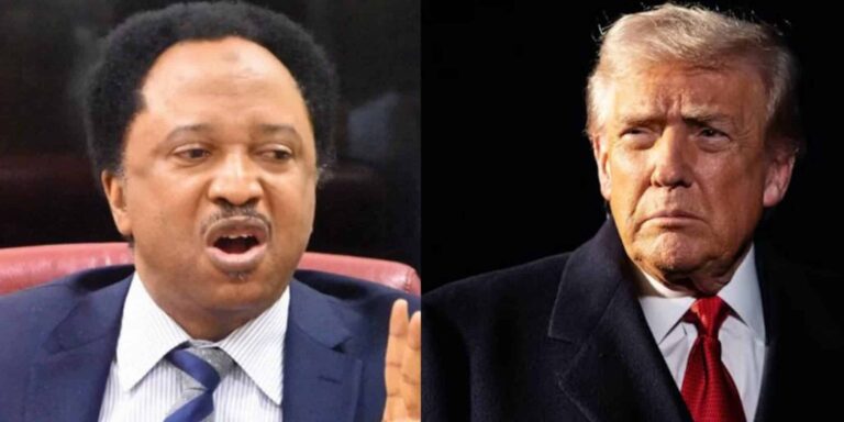 Shehu Sani Urges Nigerians to Depart US Immediately Amid Visa Cancellations