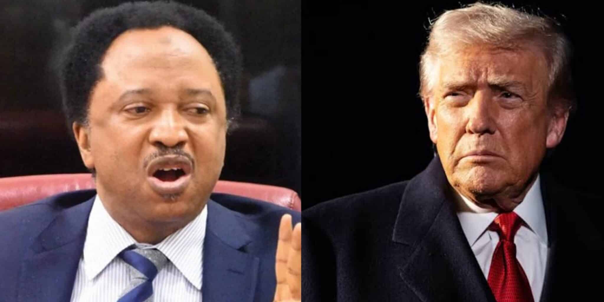 Shehu Sani Urges Nigerians to Depart US Immediately Amid Visa Cancellations