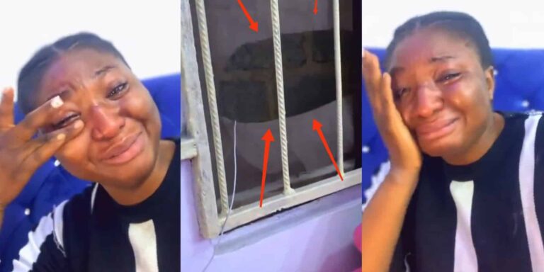 Heartbreak: Woman's Phone Stolen From New Apartment Window Hours After Moving In