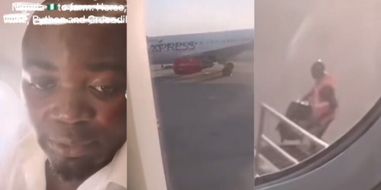 Nigerian Man Returns from France After 15 Years to Start Unique Farming Business