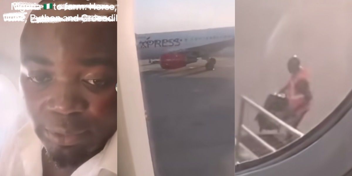 Nigerian Man Returns from France After 15 Years to Start Unique Farming Business