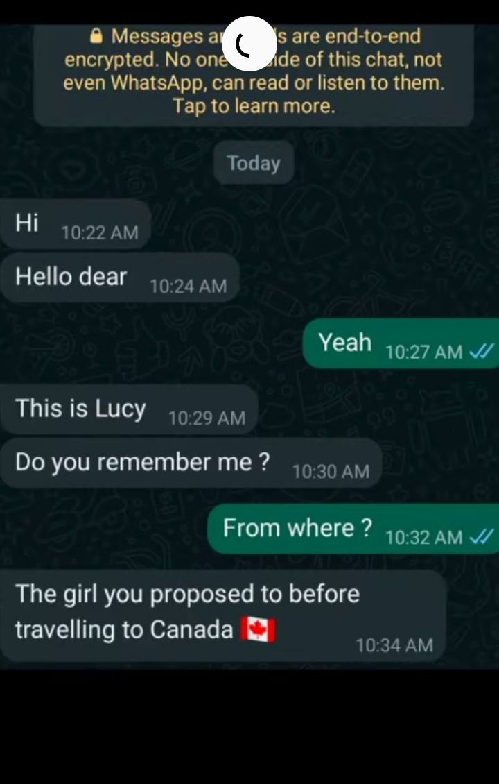 Chat screenshot showing Lucy accepting a proposal
