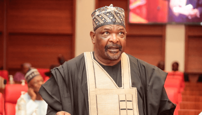 Ningi Decries Selective Police Orderly Withdrawal: 'Chinese Firms, Politicians' Children Still Enjoy Protection'