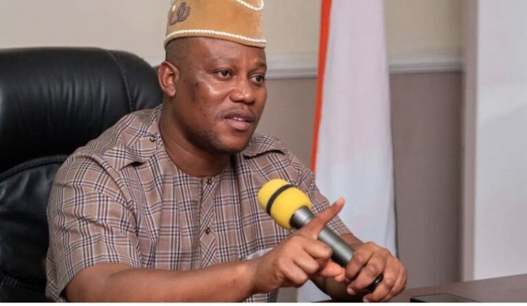 PDP National Publicity Secretary: No Faction Exists, Dismisses Anyanwu's Actions