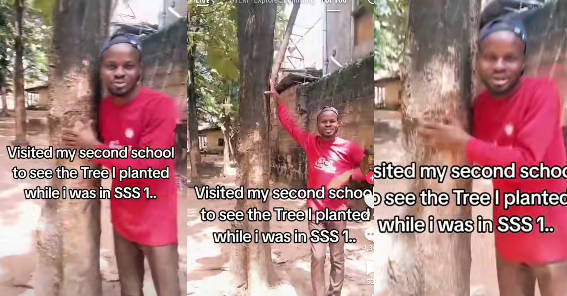 Man Returns to Alma Mater, Witnessing 15 Years of Tree Growth