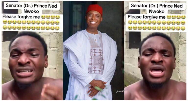 Senator Ned Nwoko Addresses False Regina Daniels Assassination Claim and Social Media Regulation