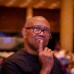 I Was Childish to Criticise Peter Obi – Former Obidient Director Apologises in Open Letter