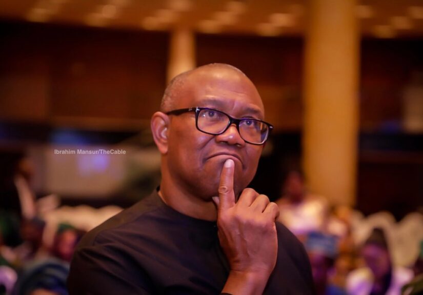 I Was Childish to Criticise Peter Obi – Former Obidient Director Apologises in Open Letter