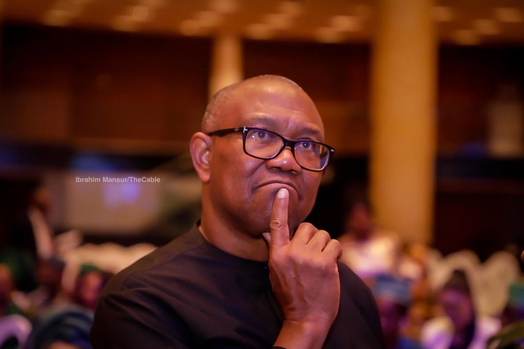 I Was Childish to Criticise Peter Obi – Former Obidient Director Apologises in Open Letter