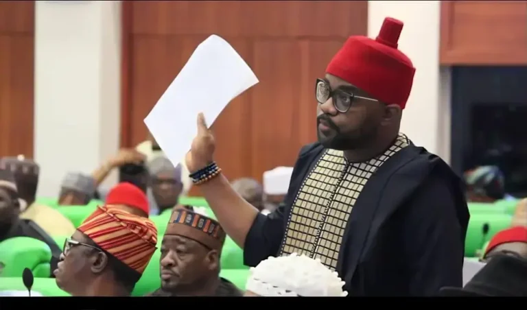 Ugochinyere Warns of Plot to Deregister Opposition Parties Ahead of 2027 Elections