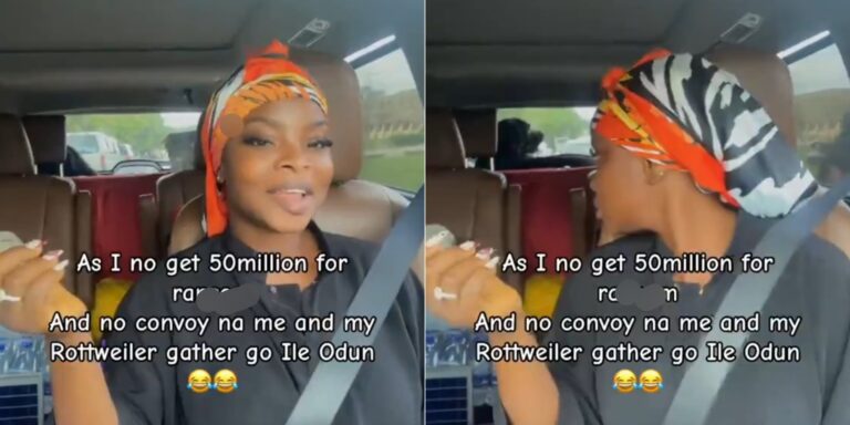 Nigerian Lady Jokes About Traveling with Rottweiler for Ileya Due to Ransom Fears