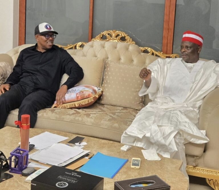 Peter Obi Confirms Fruitful Meeting with NDC Leaders Dickson and Kwankwaso on Democracy Day