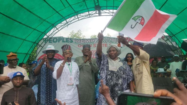 Iyabo Obasanjo Wins PDP Senatorial Ticket for Ogun Central Ahead of 2027 Elections