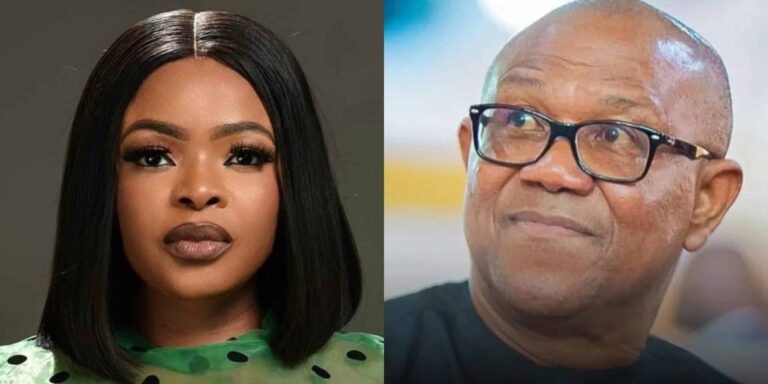 Dayo Amusa Slams Peter Obi for Criticising Govt Without Offering Solutions