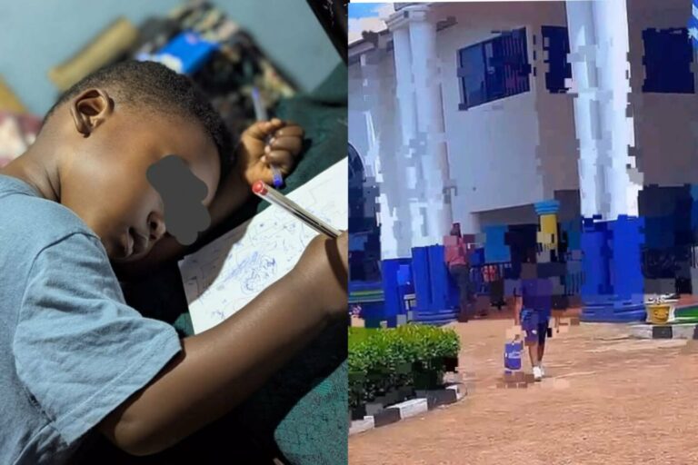 Mother Defends Son’s Honesty After Pen Swap Incident at School