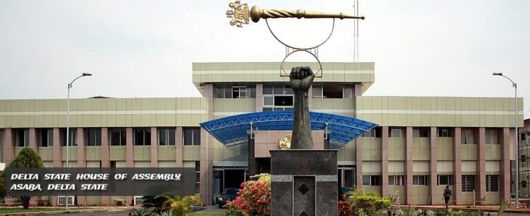 Delta Assembly Declares Udu Seat Vacant After Lawmaker Defects to NDC