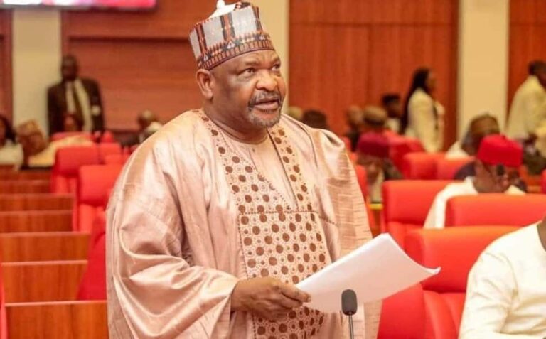 Senator Abdul Ningi Calls for Immediate Action Against Xenophobic Attacks on Nigerians in South Africa
