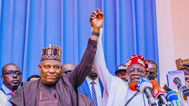 APC Insists Keeping Shettima as Running Mate is Crucial for 2027 Victory, Says Analyst