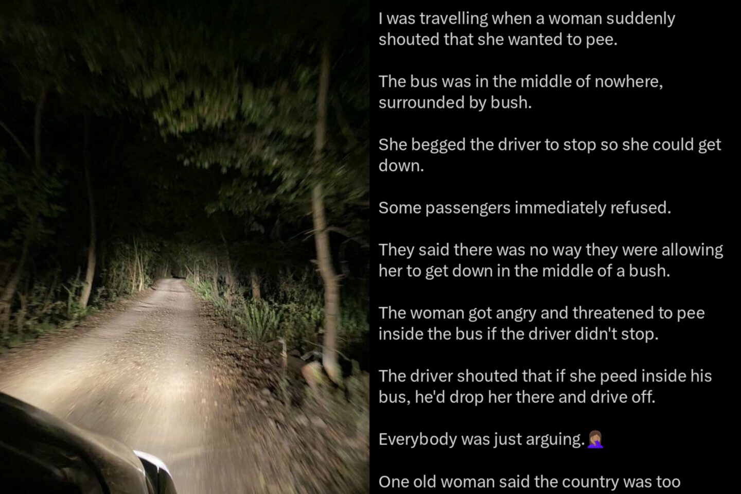 Bus Passengers Refuse Bathroom Stop, Then Everyone Joins In – Viral Nigerian Road Trip Story