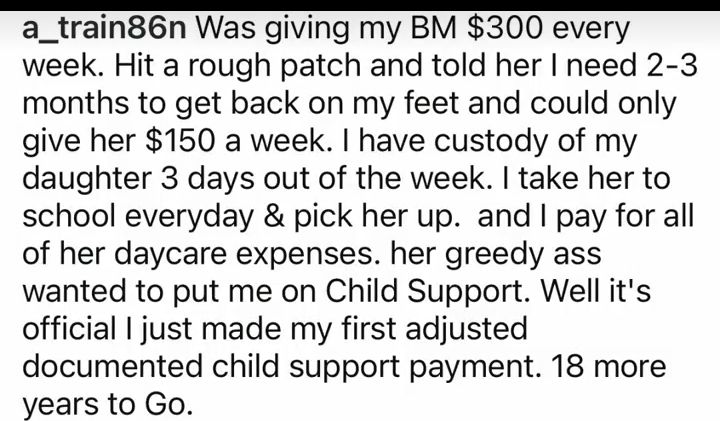 Screenshot of first child support payment showing $13 amount
