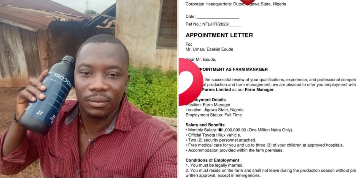 Why a Nigerian Agro Consultant Declined a ₦1 Million Monthly Farm Manager Job with Hilux and Security