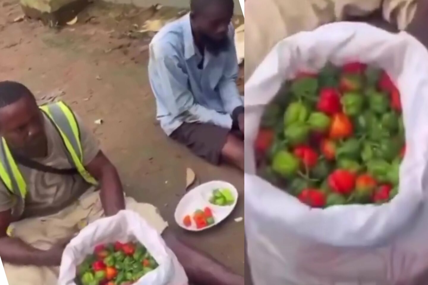 Men Forced to Eat Hot Chillies After Alleged Pepper Theft Spark Viral Debate