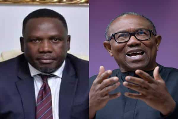 Daniel Bwala Accuses Peter Obi of Introducing Dangerous Phenomenon to Nigerian Politics