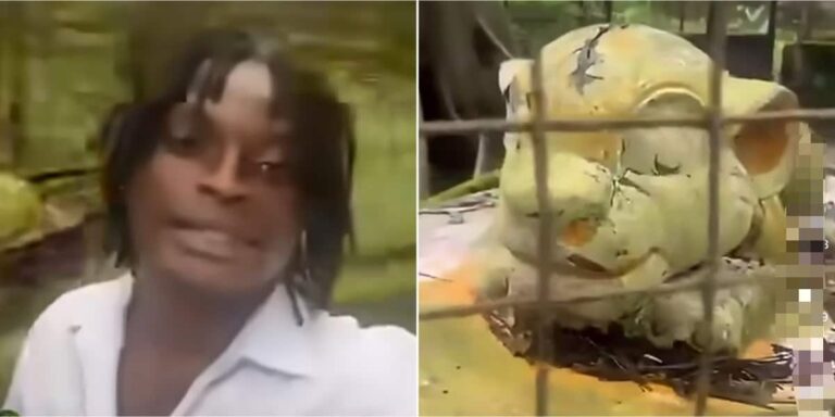 Visitor Shocked to Discover Fake Lion Statue at Port Harcourt Zoo