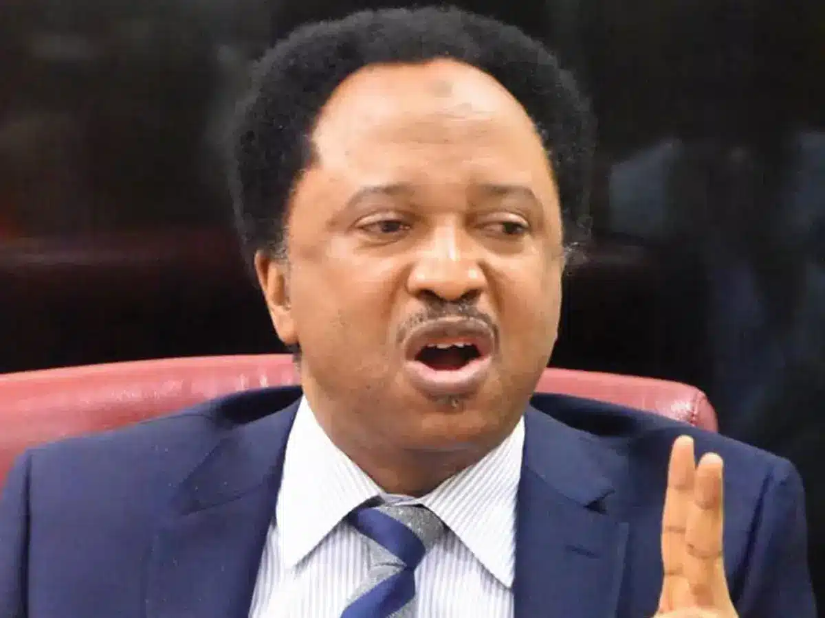 Atiku’s Aide Defends Hiring US Lobbyist, Slams Shehu Sani’s Criticism