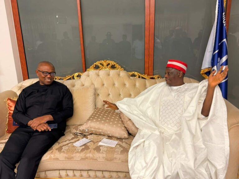 NNPP Accuses Former Leaders of Plot to Collapse Party for Obi-Kwankwaso 2027 Ticket