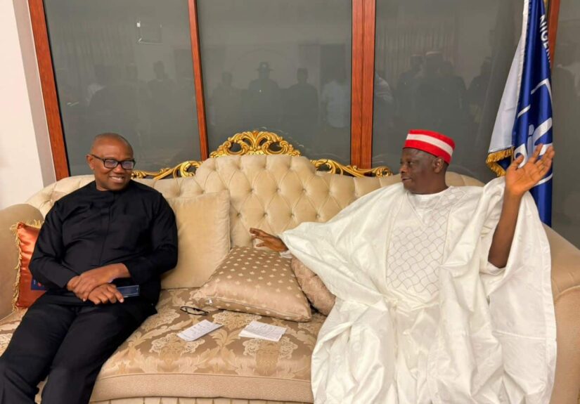 NNPP Accuses Former Leaders of Plot to Collapse Party for Obi-Kwankwaso 2027 Ticket