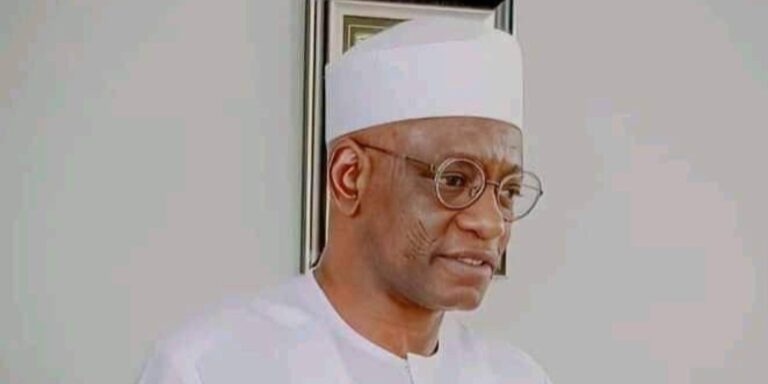 Senator Wadada Defends Tinubu Administration: Only Ignorant or Open Enemies Wish It Gone