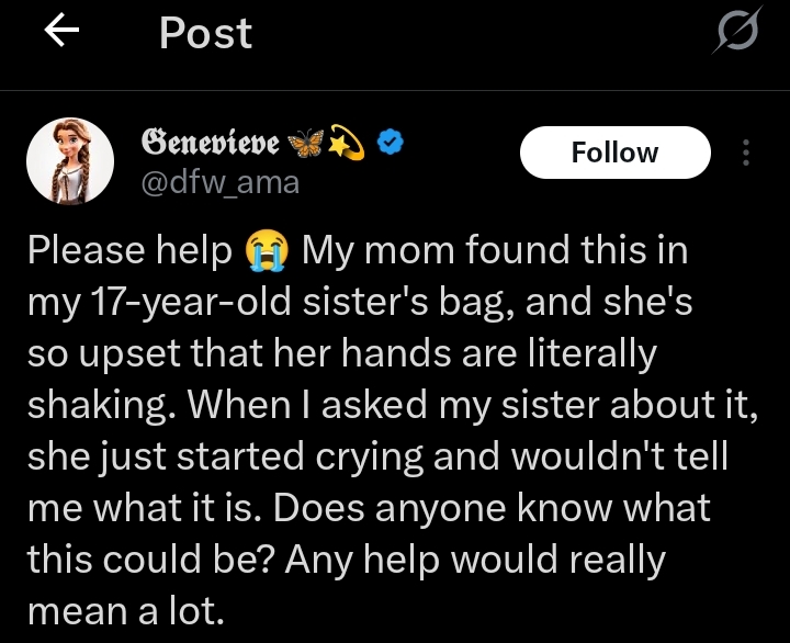 Screenshot of X post showing sister’s comment about bag item