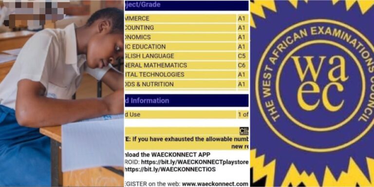 2026 WAEC Results Go Viral: Girl Who Opted Out of NECO Scores Six A1s